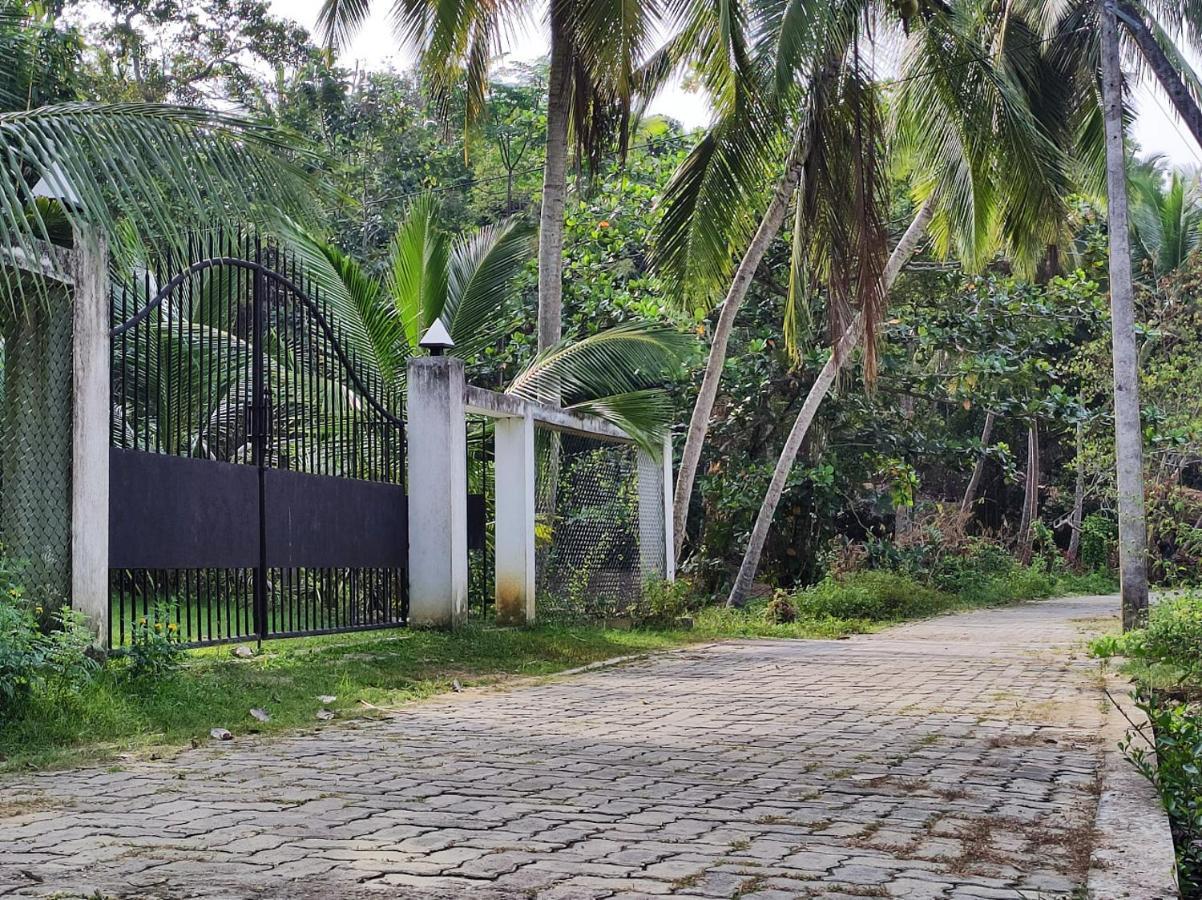 Schatzi'S Hideaway Tangalle Exterior foto